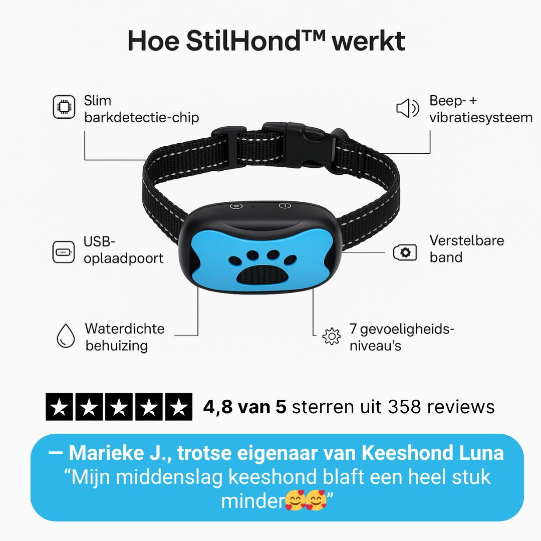 StilHond™ – Rost im Haus, ohne harte Mittel.