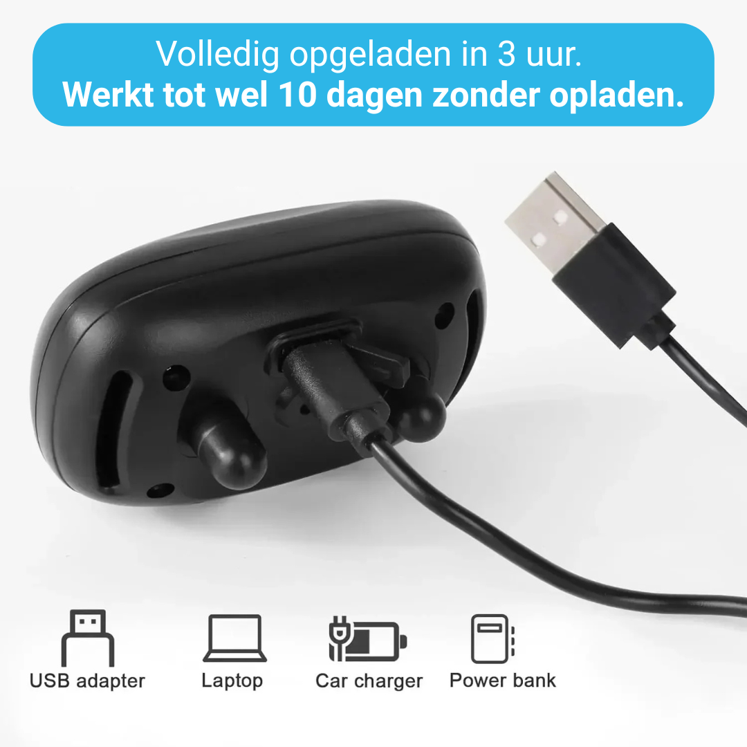 StilHond™ – Rost im Haus, ohne harte Mittel.