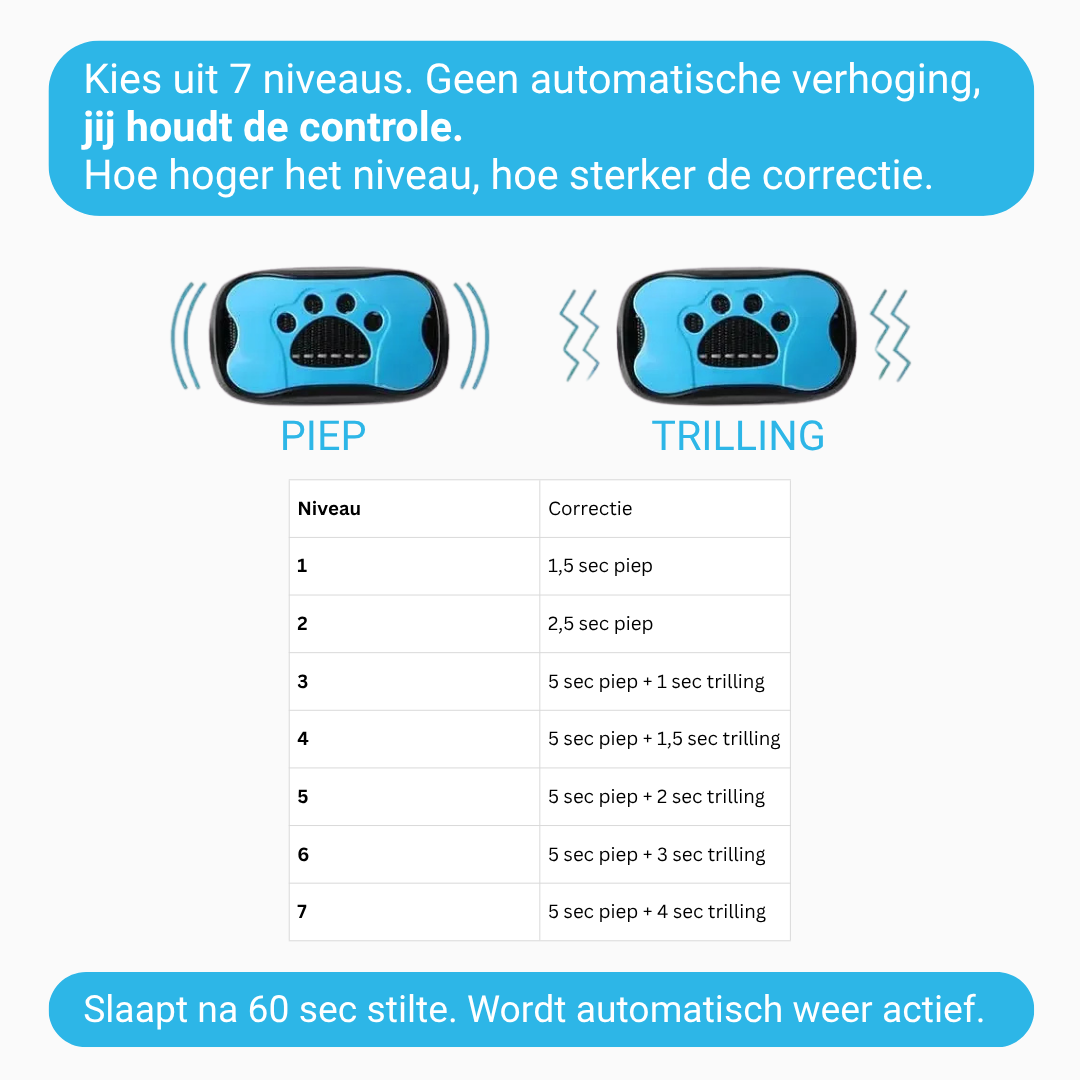 StilHond™ – Rost im Haus, ohne harte Mittel.