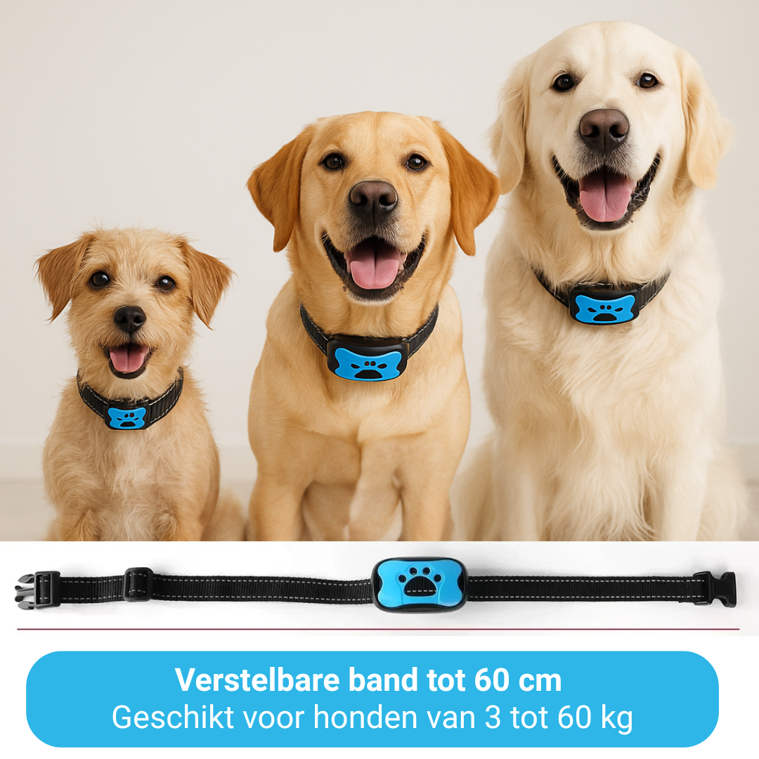 StilHond™ – Rost im Haus, ohne harte Mittel.